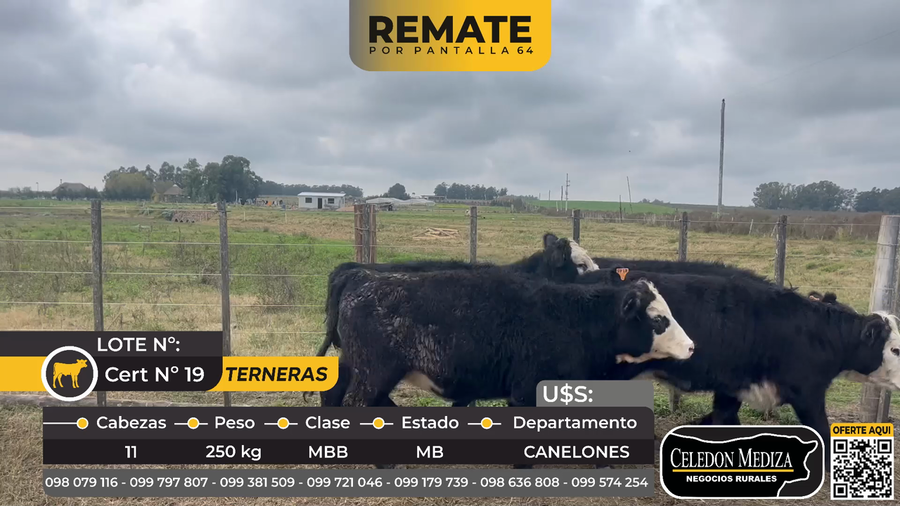 Lote 11 Terneras en  ruta 33 a5 km de ruta 11 Canelones