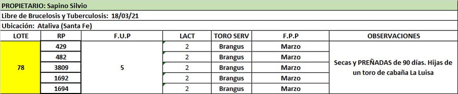 Lote Lote 78  Sapino Silvio