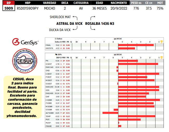 Lote LOTE 24