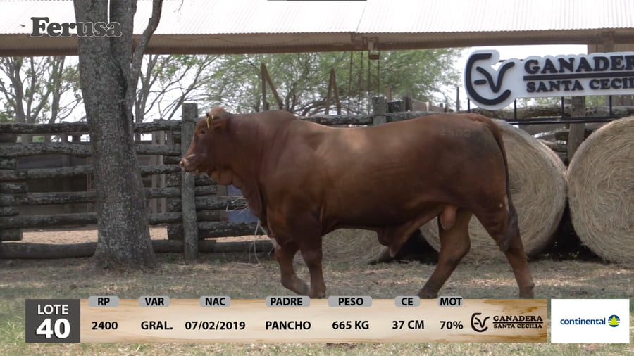 Lote Ganadera Santa Cecilia - Lote 40