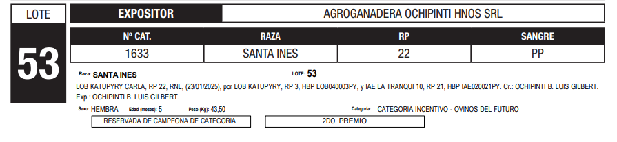Lote LOTE 53