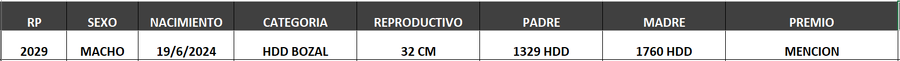 Lote LOTE 61- BOZAL