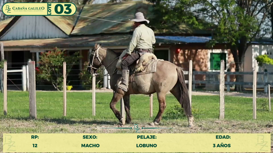 Lote LOTE 3