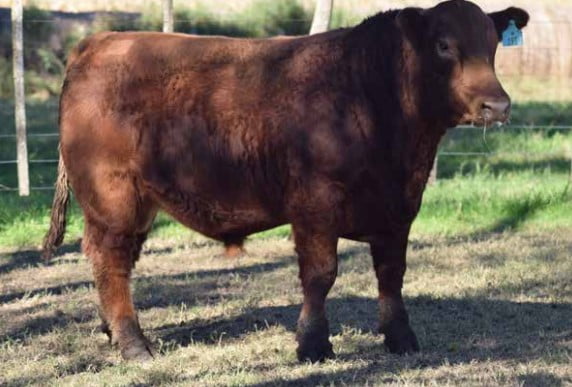 Lote CABAÑA "COEMBOTA" DE CALDERÓN RP 193