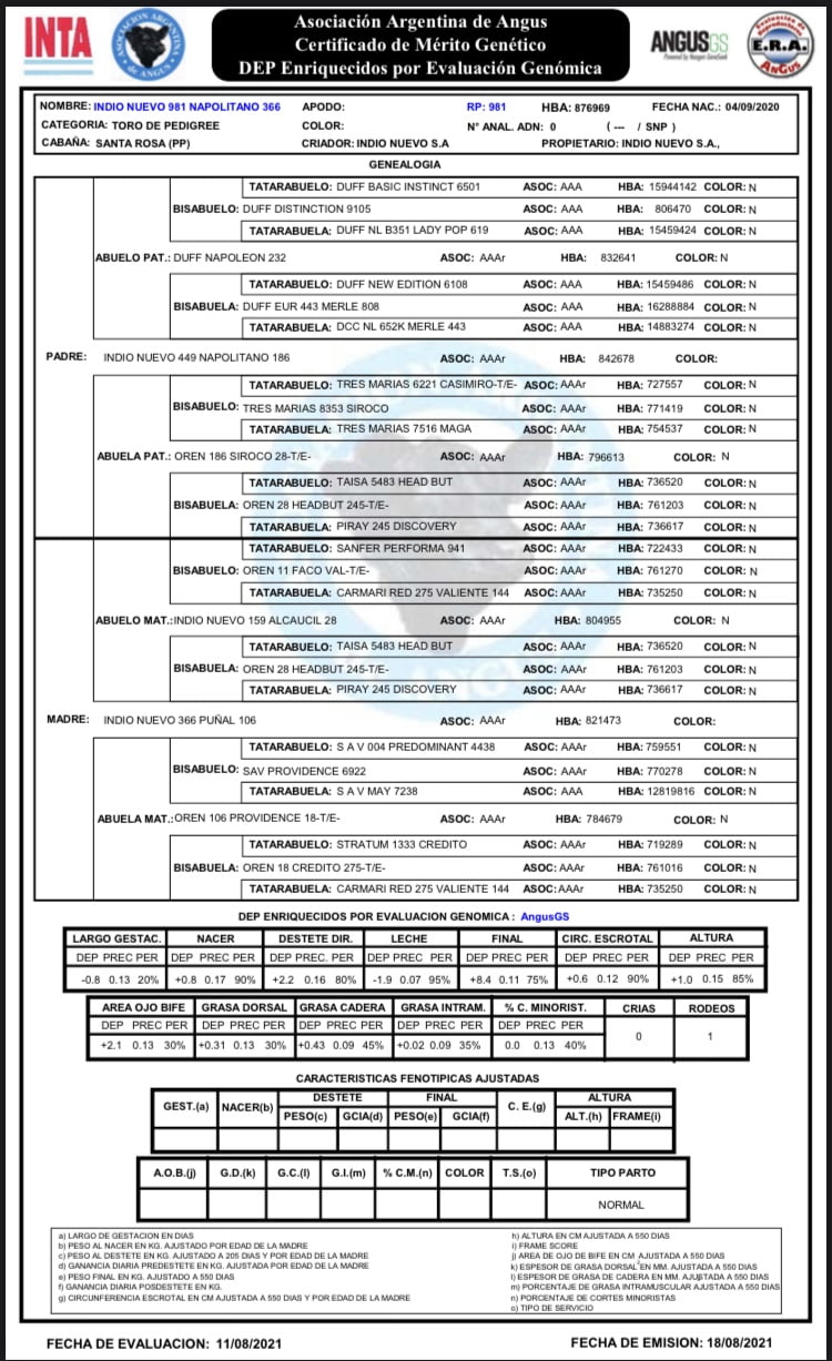 Lote "Toros ""SANTA ROSA"""