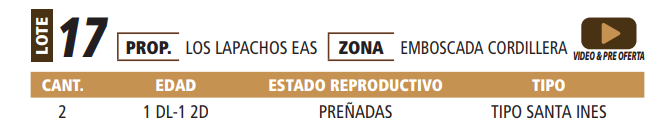 Lote LOTE 17 -POR PANTALLA