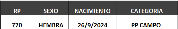 Lote LOTE 64 - CAMPO