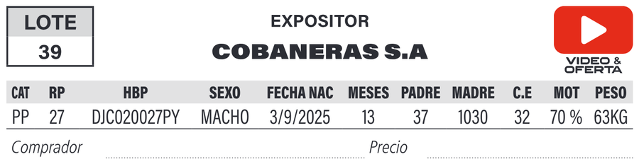 Lote LOTE 39