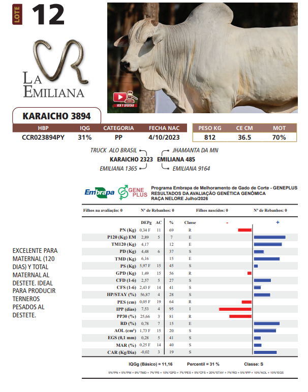 Lote LOTE 12