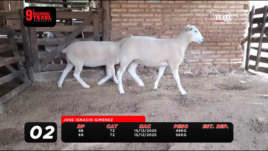 Lote LOTE 2