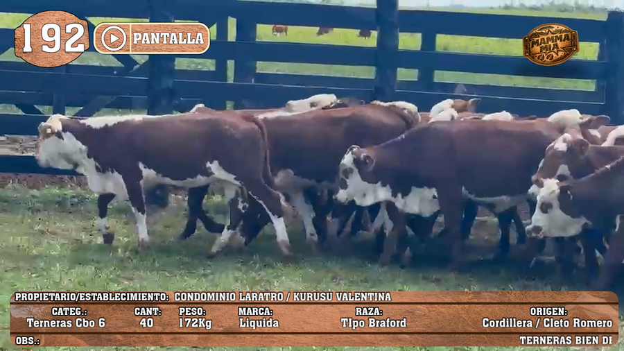 Lote LOTE 192 - PANTALLA
