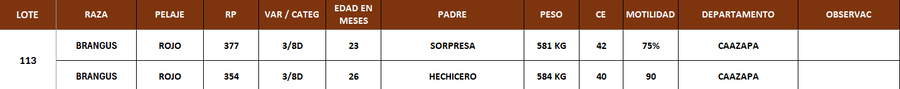 Lote LOTE 113