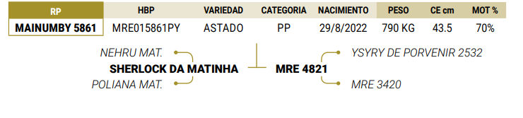 Lote LOTE 34