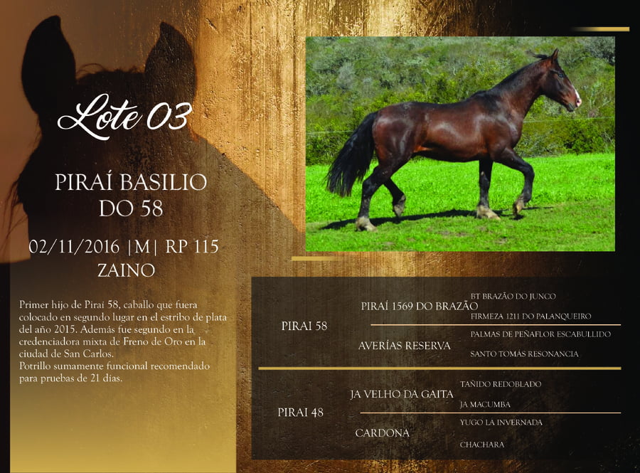 Lote RP 115 - PIRAÍ BASILIO DO 58