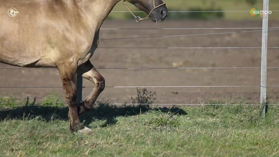 Lote LA ROSADA NIAGARA