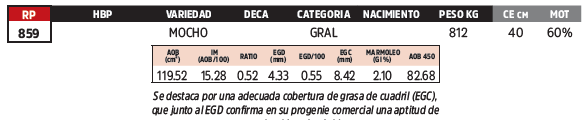 Lote LOTE 88
