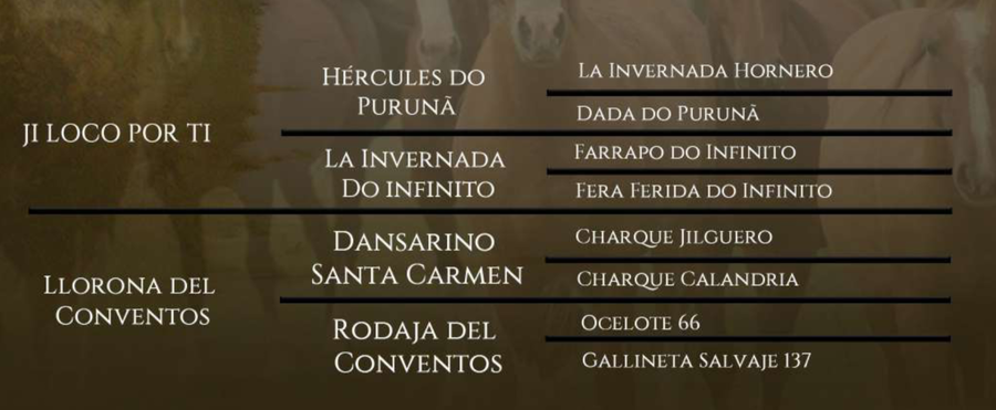 Lote Teru Tero del Conventos