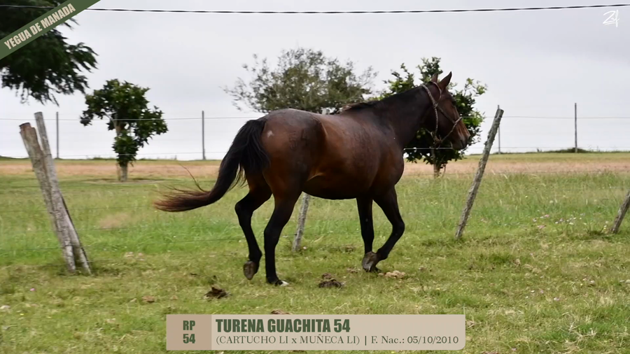 Lote TURENA GUACHITA 54