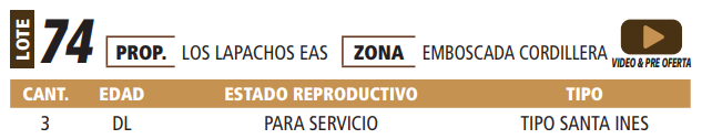 Lote LOTE 74 -POR PANTALLA