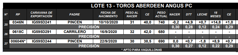 Lote TOROS ANGUS PC