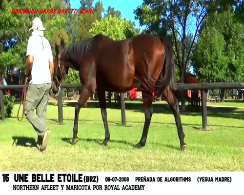 Lote UNE BELLE ETOILE (BRZ)