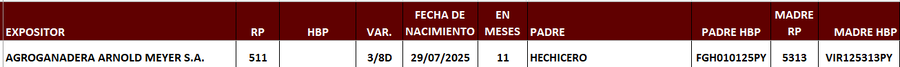 Lote LOTE 16
