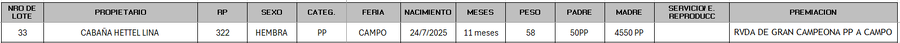 Lote LOTE 33 - CAMPO