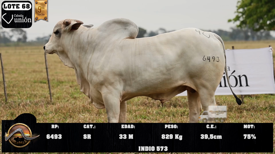 Lote LOTE 68