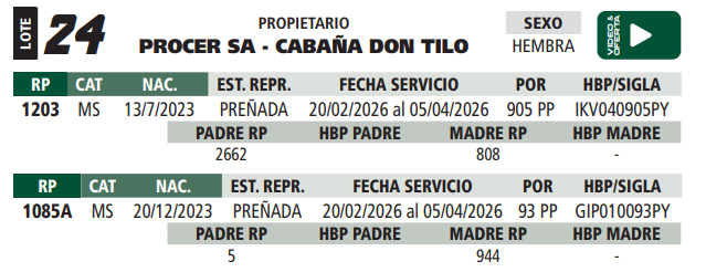 Lote LOTE 24