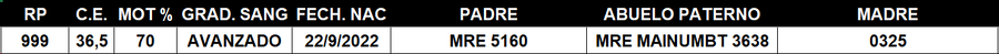 Lote LOTE 8