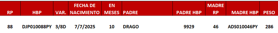 Lote LOTE 10 -DE JUNIOR