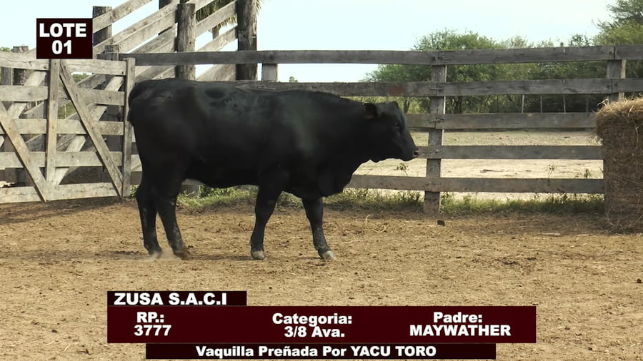 Lote Cabañas de Tradición - Lote 01