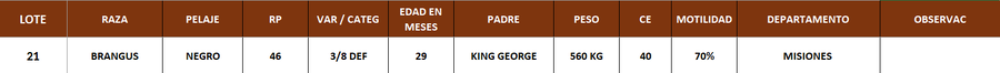 Lote LOTE 21