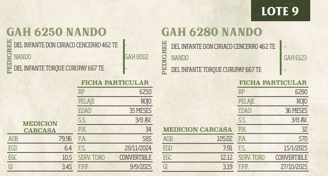Lote LOTE 9