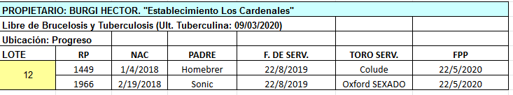 Lote 2 Vaquillonas en Progreso, Santa Fe