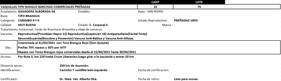Lote Reproductores de Alborada - Lote 75