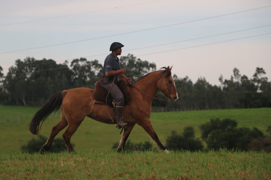 Lote CARTUCHERA DEL CONVENTOS