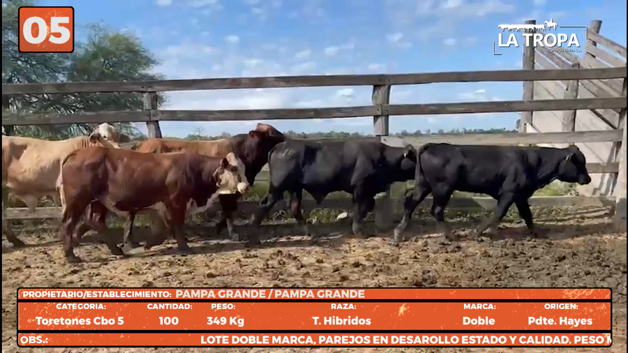 Lote LOTE 5