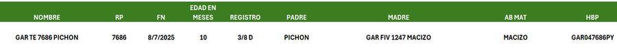 Lote LOTE 21