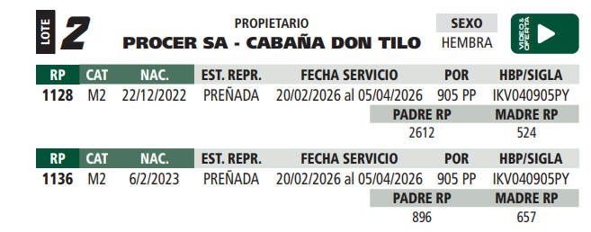 Lote LOTE 2