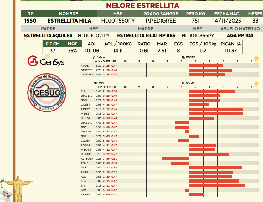 Lote LOTE 17