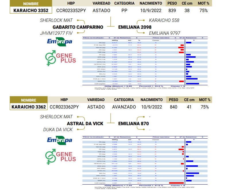 Lote LOTE 22