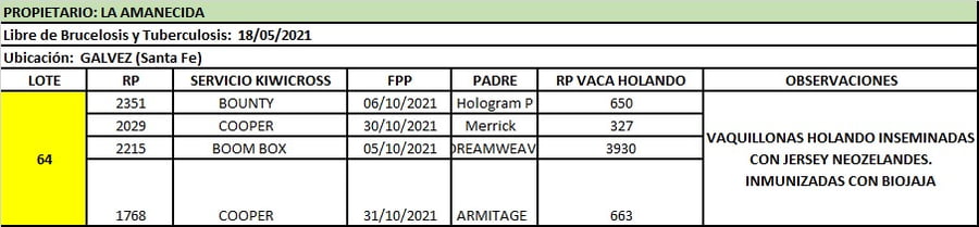 Lote Lote 64 La amanecida