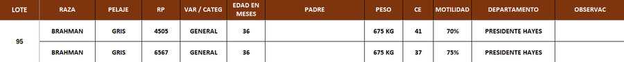 Lote LOTE 95- POR PANTALLA