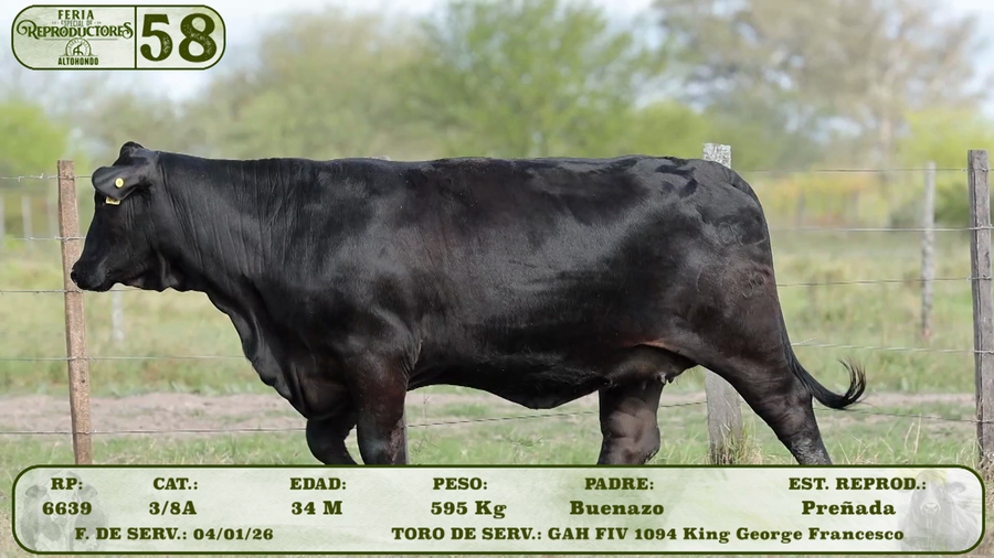Lote LOTE 58