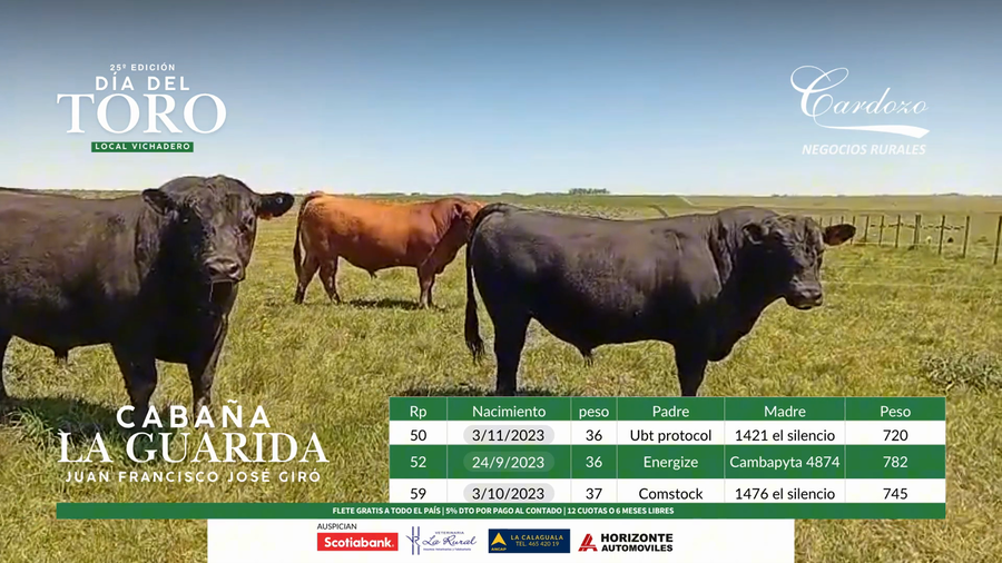 Lote La guarida - Angus