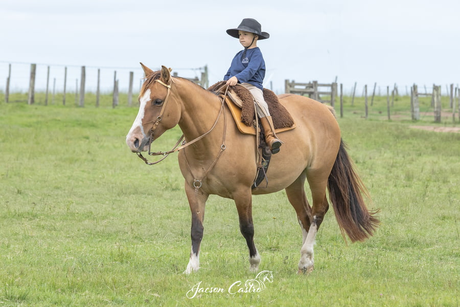 Lote Nirvana De Los Recuerdos