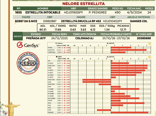 Lote LOTE 31