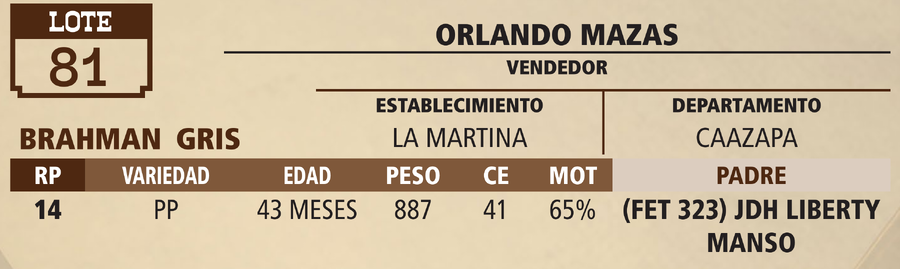 Lote LOTE 81 - VIVO