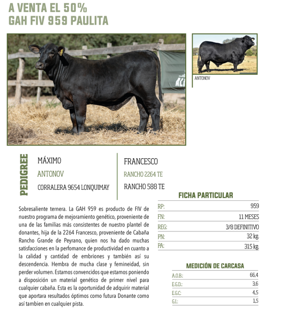 Lote LOTE 39
